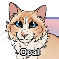 Opalpng — ThreeClans Comprehensive Tier List (1/13) option 187