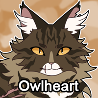 Owlheartpng — ThreeClans Comprehensive Tier List (1/13) option 192