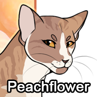 Peachflowerpng — ThreeClans Comprehensive Tier List (1/13) option 197