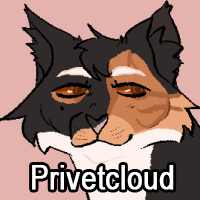 Privetcloudpng — ThreeClans Comprehensive Tier List (1/13) option 214