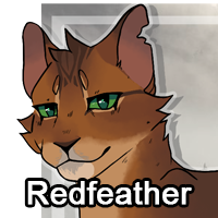 Redfeatherpng — ThreeClans Comprehensive Tier List (1/13) option 224