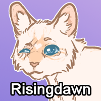 Risingdawnpng — ThreeClans Comprehensive Tier List (1/13) option 226