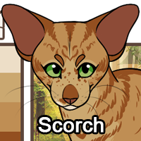 Scorchpng — ThreeClans Comprehensive Tier List (1/13) option 243