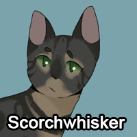 Scorchwhiskerpng — ThreeClans Comprehensive Tier List (1/13) option 244