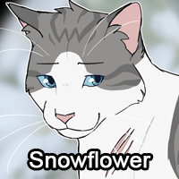 Snowflowerpng — ThreeClans Comprehensive Tier List (1/13) option 262