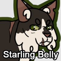 Starling Bellypng — ThreeClans Comprehensive Tier List (1/13) option 273