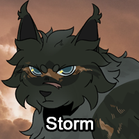 Stormpng — ThreeClans Comprehensive Tier List (1/13) option 276
