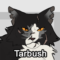 Tarbushpng — ThreeClans Comprehensive Tier List (1/13) option 282