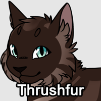 Thrushfurpng — ThreeClans Comprehensive Tier List (1/13) option 286