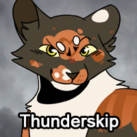 Thunderskippng — ThreeClans Comprehensive Tier List (1/13) option 287