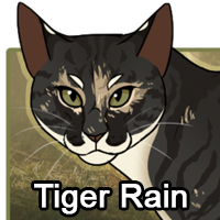 Tiger Rainpng — ThreeClans Comprehensive Tier List (1/13) option 288