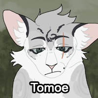 Tomoepng — ThreeClans Comprehensive Tier List (1/13) option 291