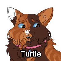 Turtlepng — ThreeClans Comprehensive Tier List (1/13) option 295