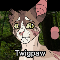 Twigpawpng — ThreeClans Comprehensive Tier List (1/13) option 296