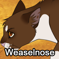 Weaselnosepng — ThreeClans Comprehensive Tier List (1/13) option 302