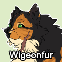 Wigeonfurpng — ThreeClans Comprehensive Tier List (1/13) option 306
