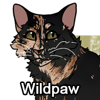 Wildpawpng — ThreeClans Comprehensive Tier List (1/13) option 307