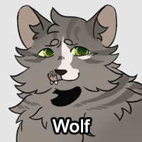 Wolfpng — ThreeClans Comprehensive Tier List (1/13) option 311