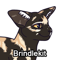 Zz1642130607brindlekitpng — ThreeClans Comprehensive Tier List (1/13) option 319