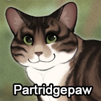Zz1642131313partridgepawpng — ThreeClans Comprehensive Tier List (1/13) option 321