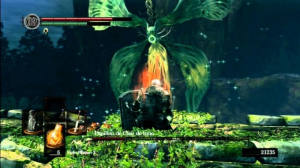 16jpg — TIER LIST - BOSS SOULSBORNEKIRO option 35