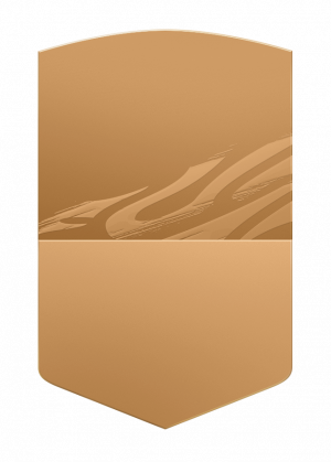 Bronce No Raropng — FIFA 21 Card Designs (Diseños de Cartas de FIFA 21) option 2