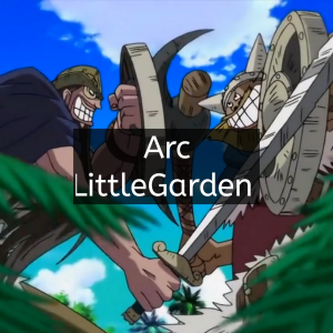 20200708160957jpg — Tier list Arc de one piece option 8
