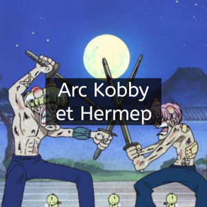 20200708161536jpg — Tier list Arc de one piece option 11