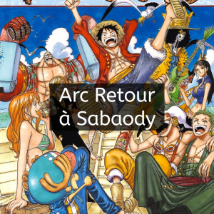 20200708164715jpg — Tier list Arc de one piece option 26