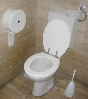Toiletwithflushwatertankjpg — Tier list de baños option 28