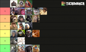 Zz1600116043my Image52png — tier list tier list option 56