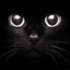 Ewroon Profileimage 13a9eaf00f468486 70x70png — TIERLISTA POLSKICH STREAMERÓW option 42
