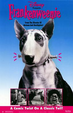 Frankenweenie1984filmposterjpg — TIM BURTON FILMOGRAPHIE option 18