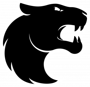 Furia 9 7png — Times do CBLOL 2021 2 Split option 2