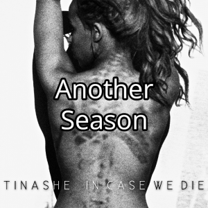 Another Seasonjpg — Tinashe Discography option 10