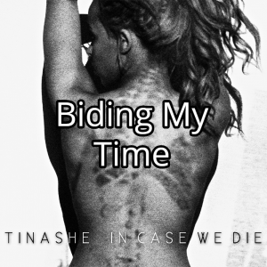 Biding My Timejpg — Tinashe Discography option 16