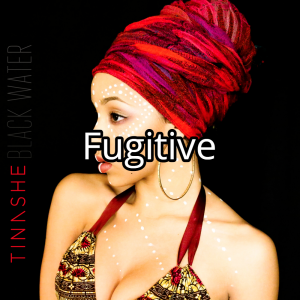 Fugitivejpg — Tinashe Discography option 45