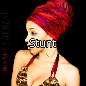 Stuntjpg — Tinashe Discography option 114