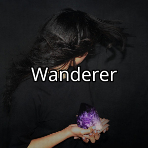 Wandererjpg — Tinashe Discography option 132