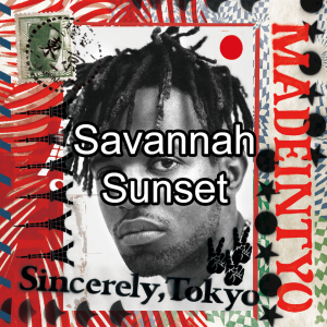 Zz1609127169savannah Sunsetjpg — Tinashe Discography option 173