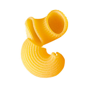 1537213305jpg — Tipi di Pasta option 1