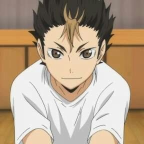 Tanaka Hinata Nishinoya  Anime, Haikyuu mangá, Personagens de anime