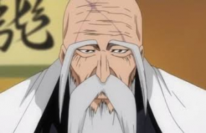 Imagesjpeg — Todos Capitães de Bleach option 29