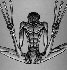 Bakiraka2png — Todos los personajes de Berserk option 30