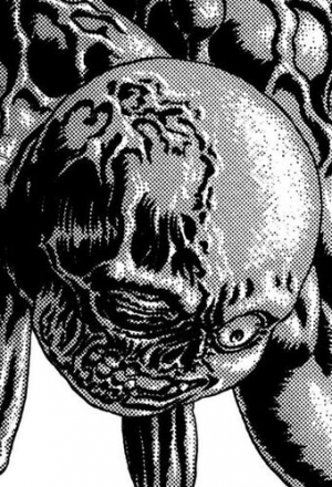 Esp3fritudevargasjpg — Todos los personajes de Berserk option 57