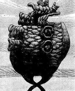 Zz1592843327e83 Ioecore Mangapng — Todos los personajes de Berserk option 98