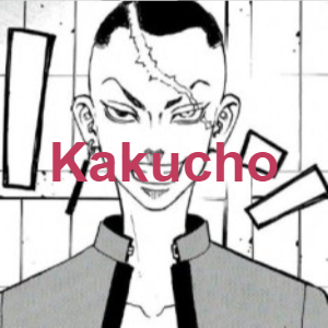 Kakuchopng — Tokyo revengers (+timeskips) option 22