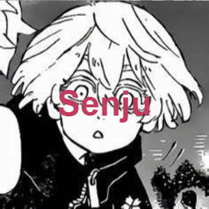 Senjupng — Tokyo revengers (+timeskips) option 46