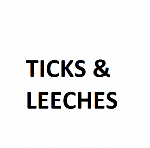 Ticks And Leechespng — Tool songs option 48