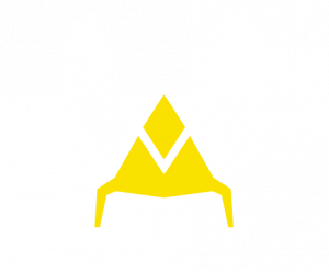 10vitalitypng — top 100 hltv option 2